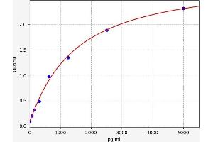 Typical standard curve (PRODH ELISA 试剂盒)