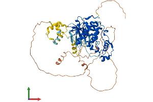 Protein Structure (PS) image for Cyclin-Dependent Kinase 17 (CDK17) (AA 1-523) protein (His tag) (ABIN7559430)