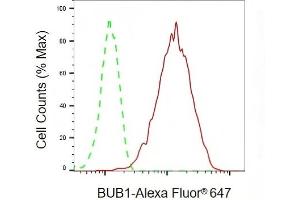 Flow cytometric analysis of BUB1 expression in HAP-1 cells using BUB1 antibody (ABIN7797803), 1:2,000). (Recombinant BUB1 抗体)