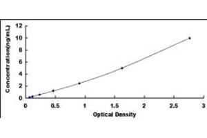 Typical standard curve (CRLF1 ELISA 试剂盒)
