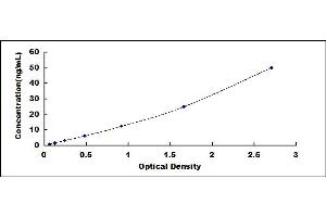 ATG5 Autophagy Related 5 (ATG5) ELISA Kit