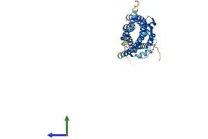 Protein Structure (PS) image for Apelin Receptor (APLNR) (AA 1-377) protein (His tag) (ABIN7556298)