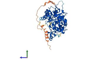 Protein Structure (PS) image for Mannosyl (Alpha-1,6-)-Glycoprotein beta-1,2-N-Acetylglucosaminyltransferase (MGAT2) (AA 1-442) protein (His tag) (ABIN7560206)