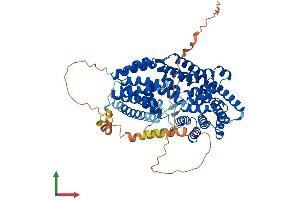 Protein Structure (PS) image for Tetratricopeptide Repeat Domain 39B (TTC39B) (AA 1-682) protein (His tag) (ABIN7544905)