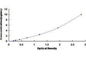 Prothrombin ELISA 试剂盒