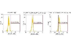 Flow Cytometry (FACS) image for anti-Transforming Growth Factor, beta 1 (TGFB1) (AA 279-390) antibody (APC) (ABIN5566209) (TGFB1 抗体  (AA 279-390) (APC))