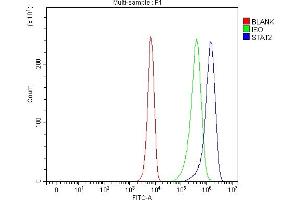 Flow Cytometry analysis of K562 cells using anti-STAT2 antibody (ABIN5692942). (STAT2 抗体)