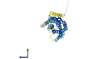 Protein Structure (PS) image for G Protein-Coupled Receptor 77 (GPR77) (AA 1-344) protein (His tag) (ABIN7558954)