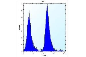 MGMT Antibody (N-term) (ABIN656810 and ABIN2846024) flow cytometric analysis of 293 cells (right histogram) compared to a negative control cell (left histogram). (MGMT 抗体  (N-Term))