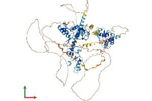 AlphaFold protein structure predicition of Human Recombinant ZNF598 Protein, UniprotID Q86UK7