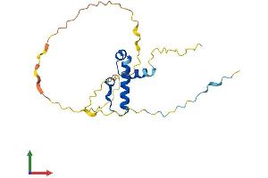 Protein Structure (PS) image for Synovial Sarcoma, X Breakpoint 3 (SSX3) (AA 1-188) protein (His tag) (ABIN7546446)