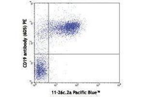 Flow Cytometry (FACS) image for Rat anti-Mouse IgD antibody (Pacific Blue) (ABIN2667177) (大鼠 anti-小鼠 IgD Antibody (Pacific Blue))