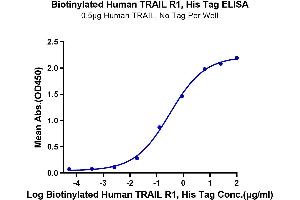 ELISA image for Tumor Necrosis Factor Receptor Superfamily, Member 10a (TNFRSF10A) protein (His-Avi Tag,Biotin) (ABIN7275778)