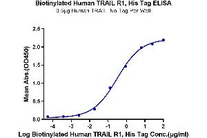 Immobilized Human TRAIL, No Tag at 5 μg/mL (100 μL/well) on the plate. (TNFRSF10A Protein (His-Avi Tag,Biotin))