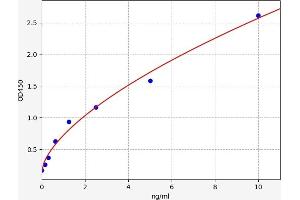 RPS6KB1 ELISA 试剂盒