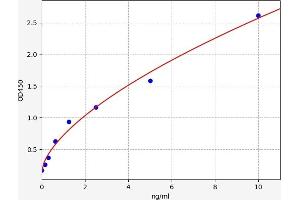 Typical standard curve (RPS6KB1 ELISA 试剂盒)