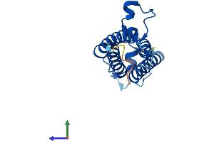 Protein Structure (PS) image for Vitamin K Epoxide Reductase Complex, Subunit 1 (VKORC1) (AA 1-163) protein (His tag) (ABIN7545084)