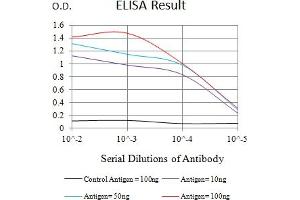 Black line: Control Antigen (100 ng),Purple line: Antigen (10 ng), Blue line: Antigen (50 ng), Red line:Antigen (100 ng) (LRP4 抗体  (AA 21-189))