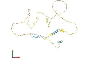 AlphaFold protein structure predicition of Mouse Recombinant Trp53inp1 Protein, UniprotID Q9QXE4
