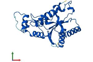 Protein Structure (PS) image for NQO2 (NQO2) (AA 1-231) protein (His tag) (ABIN7561536)