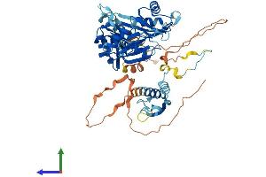 Protein Structure (PS) image for RNA Binding Motif Protein 46 (RBM46) (AA 1-533) protein (His tag) (ABIN7551216)