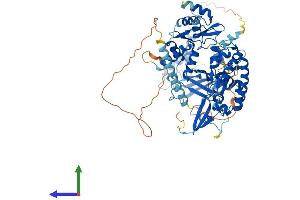 Protein Structure (PS) image for Polymerase (RNA) III (DNA Directed) Polypeptide E (80kD) (POLR3E) (AA 1-710) protein (His tag) (ABIN7564965)
