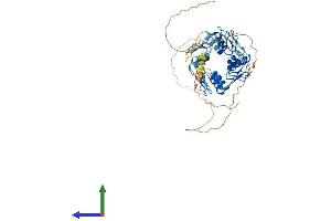 Protein Structure (PS) image for Zinc Finger Protein 623 (ZNF623) (AA 1-536) protein (His tag) (ABIN7545679)