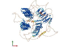 Protein Structure (PS) image for Cytoplasmic Linker Associated Protein 1 (CLASP1) (AA 1-1538) protein (His tag) (ABIN7553499)