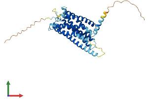 AlphaFold protein structure predicition of Mouse Recombinant P2ry12 Protein, UniprotID Q9CPV9