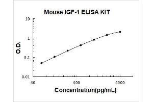 Insulin-Like Growth Factor 1 (IGF1) ELISA Kit