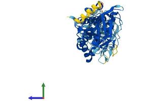 Protein Structure (PS) image for Interferon-Induced Protein 44 (IFI44) (AA 1-444) protein (His tag) (ABIN7548546)