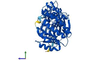 Protein Structure (PS) image for Galactokinase 1 (GALK1) (AA 1-392) protein (His tag) (ABIN7556190)