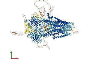 Protein Structure (PS) image for Cystic Fibrosis Transmembrane Conductance Regulator (ATP-Binding Cassette Sub-Family C, Member 7) (CFTR) (AA 1-1480) protein (His tag) (ABIN7553181)