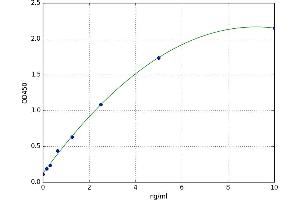 A typical standard curve