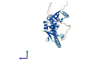 Protein Structure (PS) image for tRNA Splicing Endonuclease 34 Homolog (TSEN34) (AA 1-316) protein (His tag) (ABIN7564403)