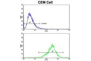 Flow Cytometry (FACS) image for anti-Transglutaminase 4 (Prostate) (TGM4) antibody (ABIN5022825) (TGM4 抗体)