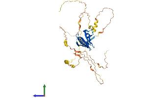 Protein Structure (PS) image for Pleckstrin Homology-Like Domain, Family A, Member 1 (PHLDA1) (AA 1-405) protein (His tag) (ABIN7557785)
