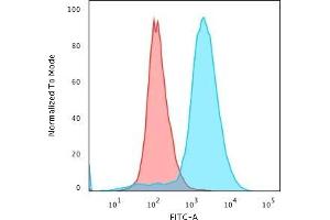 Flow Cytometric Analysis of paraformaldehyde-fixed Jurkat cells with Double Stranded DNA Mouse Monoclonal Antibody (121-3)followed by Goat anti-Mouse IgG-CF488 (Blue) Isotype Control (Red) (dsDNA 抗体)