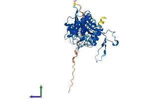 Protein Structure (PS) image for Cytidine Monophosphate N-Acetylneuraminic Acid Synthetase (CMAS) (AA 1-432) protein (His tag) (ABIN7560341)