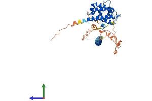 Protein Structure (PS) image for RUN Domain Containing 3A (RUNDC3A) (AA 1-446) protein (His tag) (ABIN7551700)