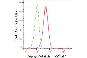 Flow cytometric analysis of Gephyrin expression in HAP-1 cells using Gephyrin antibody (ABIN7798714), 1:2,000). (Gephyrin 抗体)