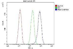 Flow Cytometry analysis of A549 cells using anti-IFNAR2 antibody (ABIN7601353).