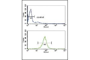 Flow Cytometry (FACS) image for anti-rho GDP Dissociation Inhibitor (GDI) alpha (ARHGDIA) (AA 112-140), (C-Term) antibody (ABIN389429)