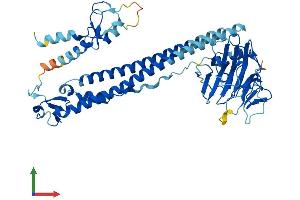 Protein Structure (PS) image for Tripartite Motif Containing 68 (TRIM68) (AA 1-485) protein (His tag) (ABIN7559490)