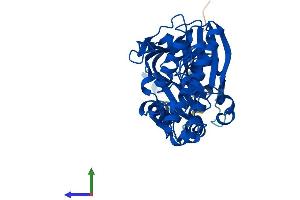 Protein Structure (PS) image for Pantothenate Kinase 3 (PANK3) (AA 1-370) protein (His tag) (ABIN7559712)