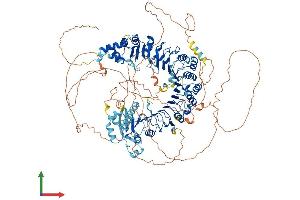 AlphaFold protein structure predicition of Mouse Recombinant Fbxo38 Protein, UniprotID Q8BMI0 (FBXO38 Protein (AA 1-1194) (His tag))