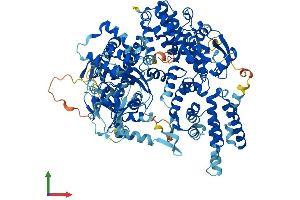 Protein Structure (PS) image for Rap Guanine Nucleotide Exchange Factor (GEF) 4 (RAPGEF4) (AA 1-1011) protein (His tag) (ABIN7555283)