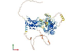 AlphaFold protein structure predicition of Mouse Recombinant Parp6 Protein, UniprotID Q6P6P7