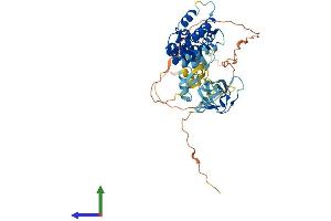 AlphaFold protein structure predicition of Human Recombinant NOXA1 Protein, UniprotID Q86UR1