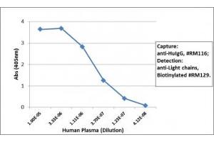 Sandwich ELISA of human plasma using the recombinant Human IgG antibody (clone RM116) as the capture (100ng/well), and biotinylated human light chains (, kappa+ , lambda) antibody (clone RM129) as the detect (1ug/mL), followed by an alkaline phosphatase conjugated streptavidin. (Recombinant IGHG 抗体)